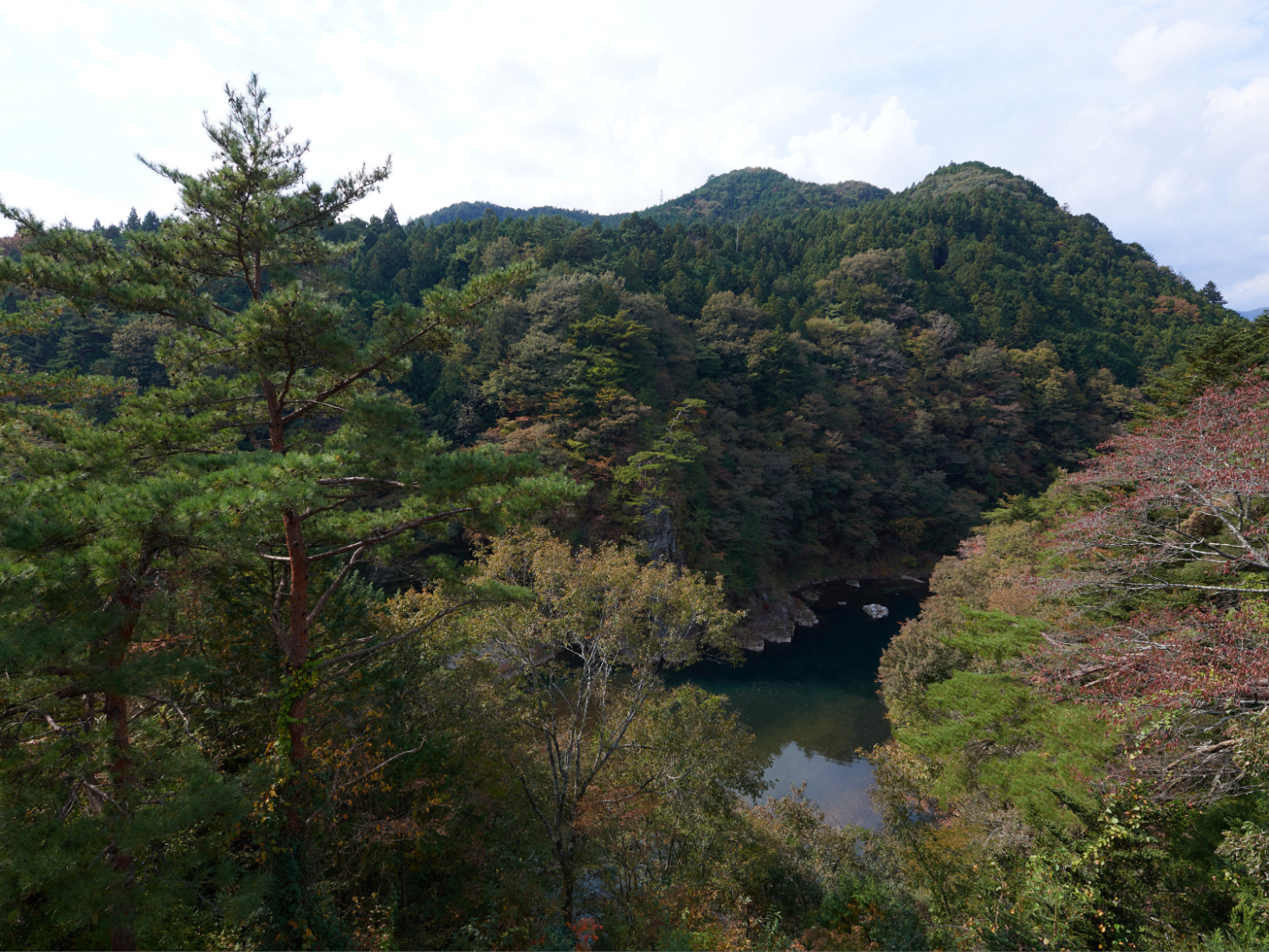 部屋の画像16