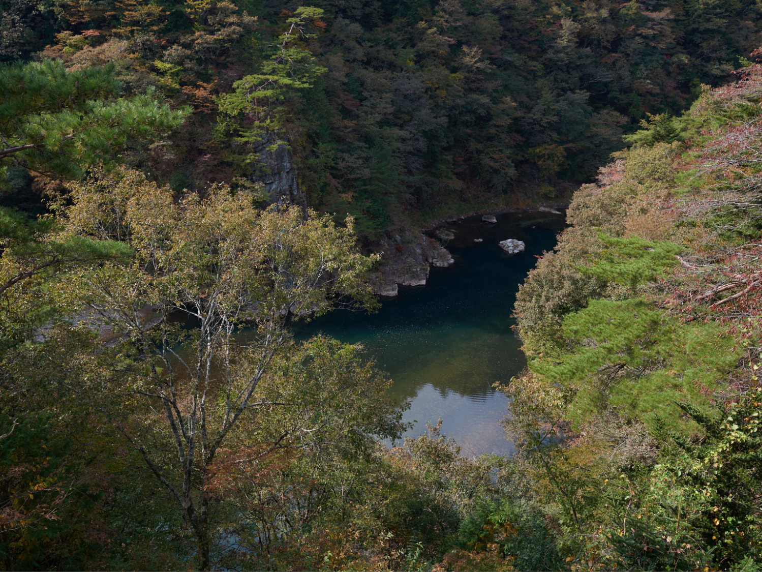 部屋の画像17